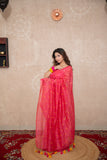 Anandita- Pink Tikli Work Saree