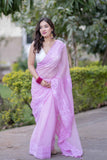 Yachna - Hand Applique Kota Saree