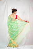 Verdant Charm -Kota Doria Cotton Saree