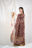 Golden Horizon- Kota Doria Shibori Saree