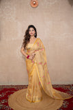 Chamak- Golden Tissue Saree with Embroidery