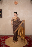 Devangi- Brown Saree with hand embroidery