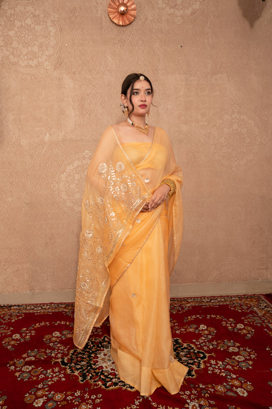 Jashnavi- Orange Gota Jaal Saree