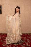 Sunehri- White Gota Work Saree