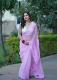 Yachna - Hand Applique Kota Saree