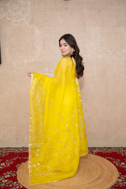 Sonallika- Floral Gota Patti Saree